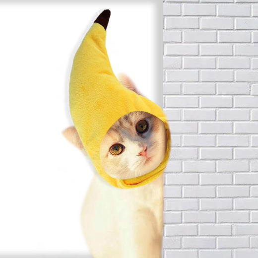 Banana Cat Hat soft adjustable cat costume (photo 1 of 7)