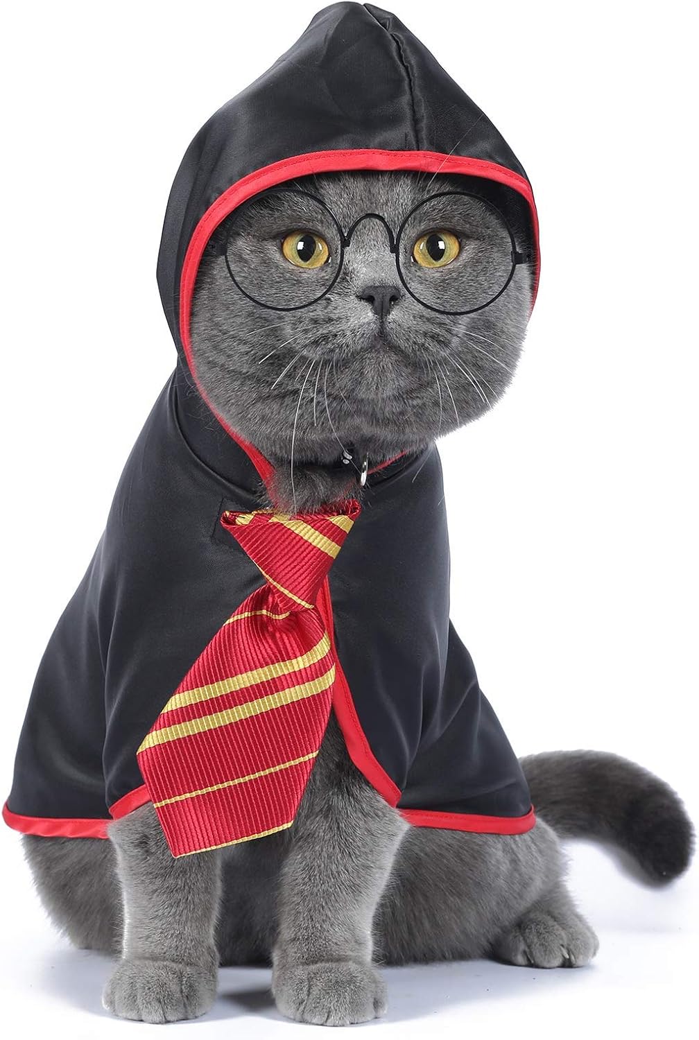Cat Wizard Cape with Tie, worn by a cat