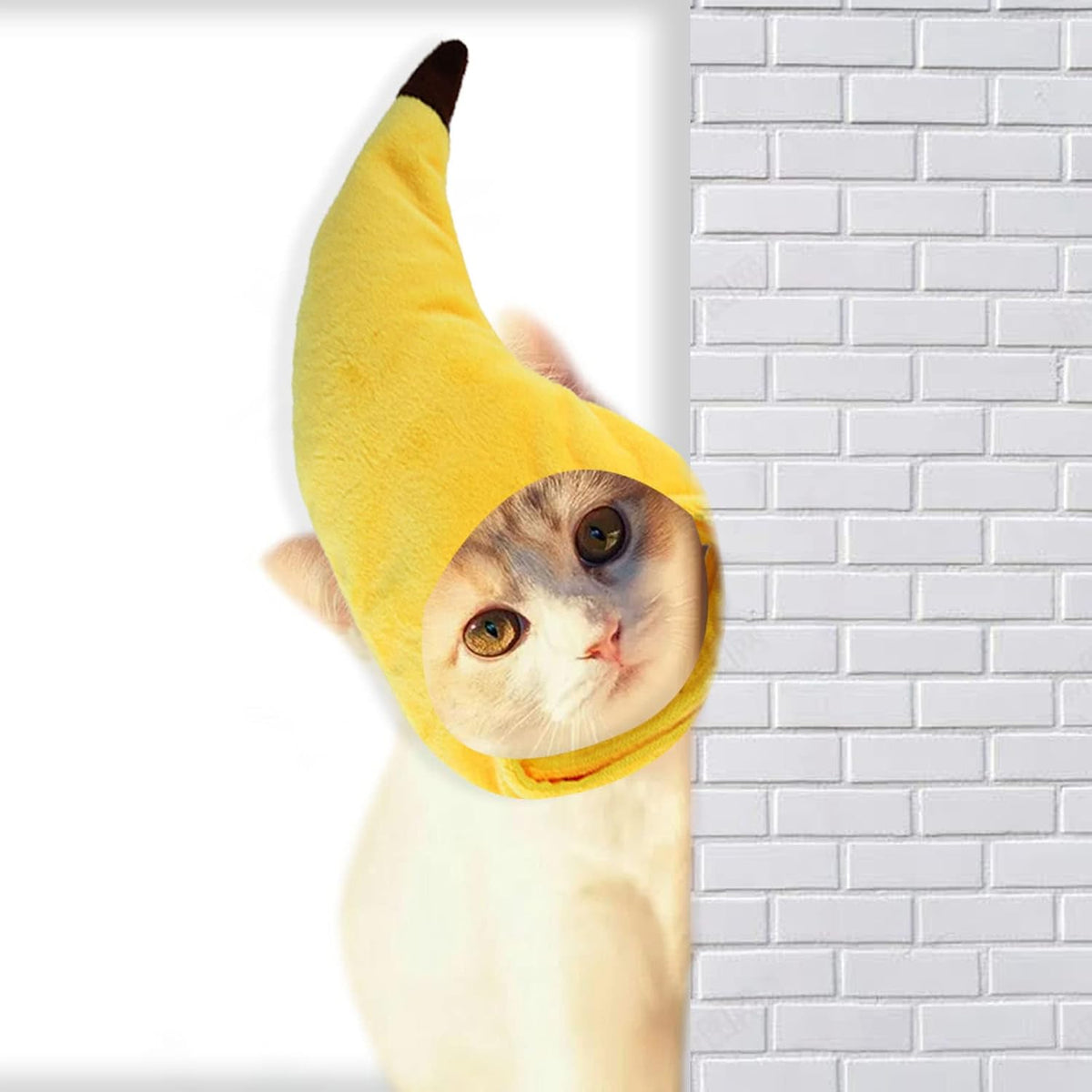 Banana Cat Hat soft adjustable cat costume (photo 1 of 7)