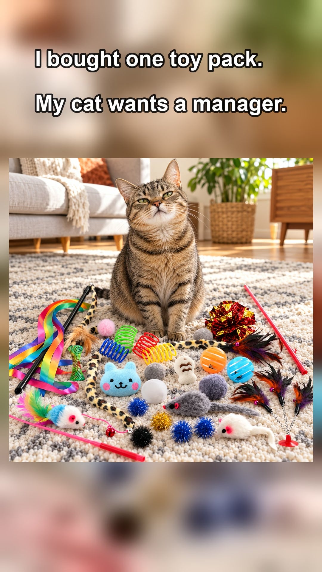 26-Piece Interactive Kitten Toy Variety Pack - 12 second video of a cat playing with a wand toy