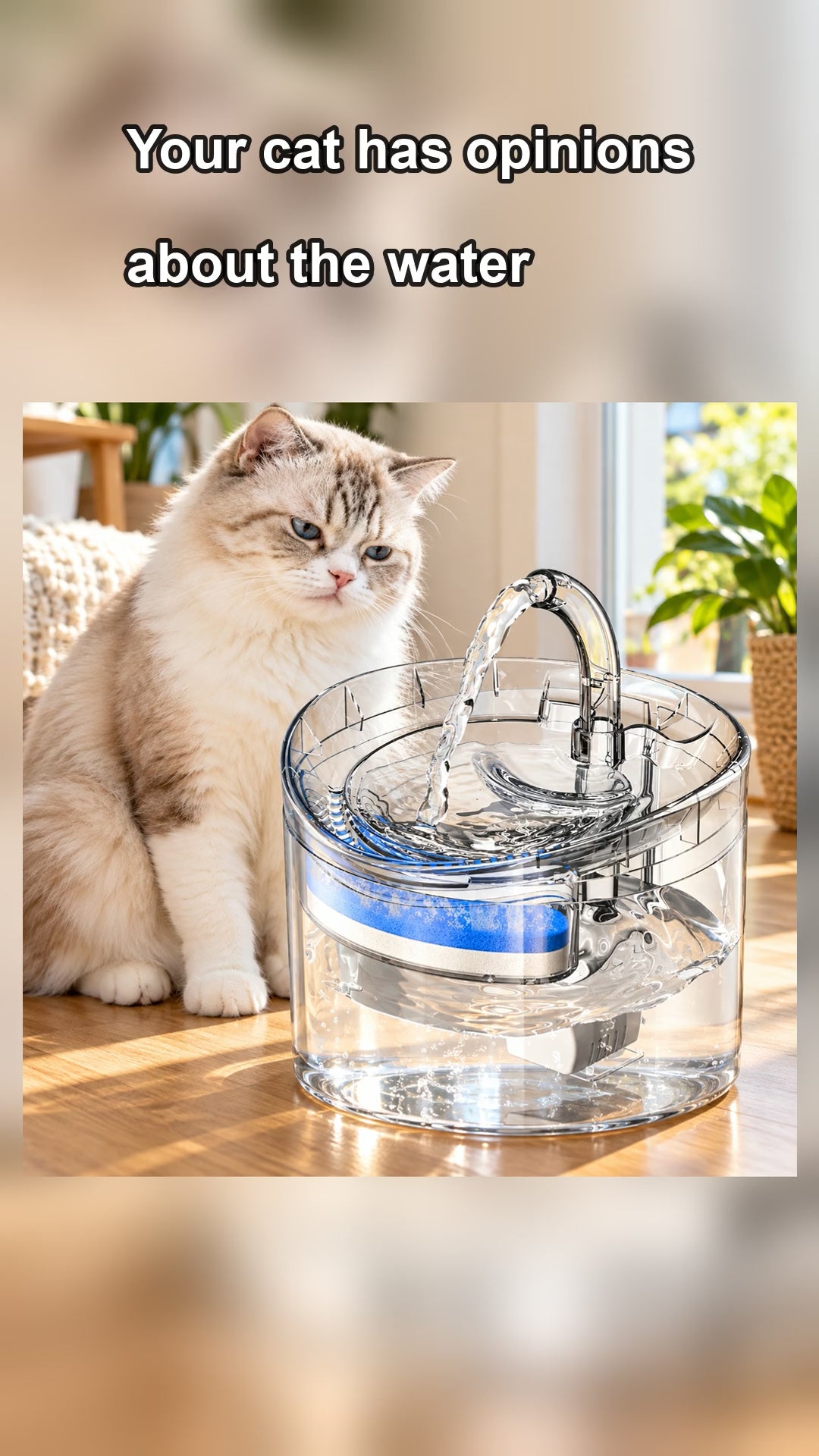Cat Water Fountain 61oz clear pet drinking fountain, cat drinking from the moving water stream