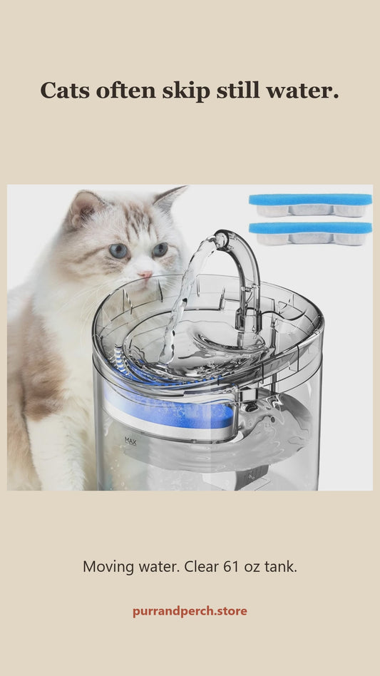 Cat drinking from the Clear Water Fountain's moving water stream, with voiceover