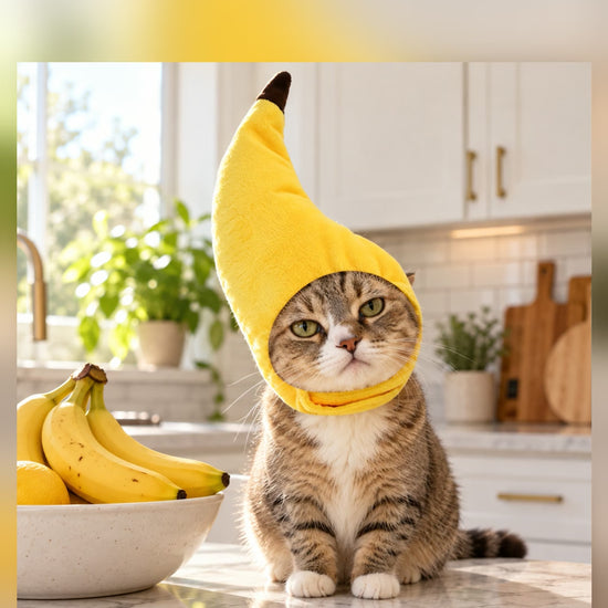 Banana Cat Hat soft adjustable cat costume, cat wearing the yellow banana hat on a couch