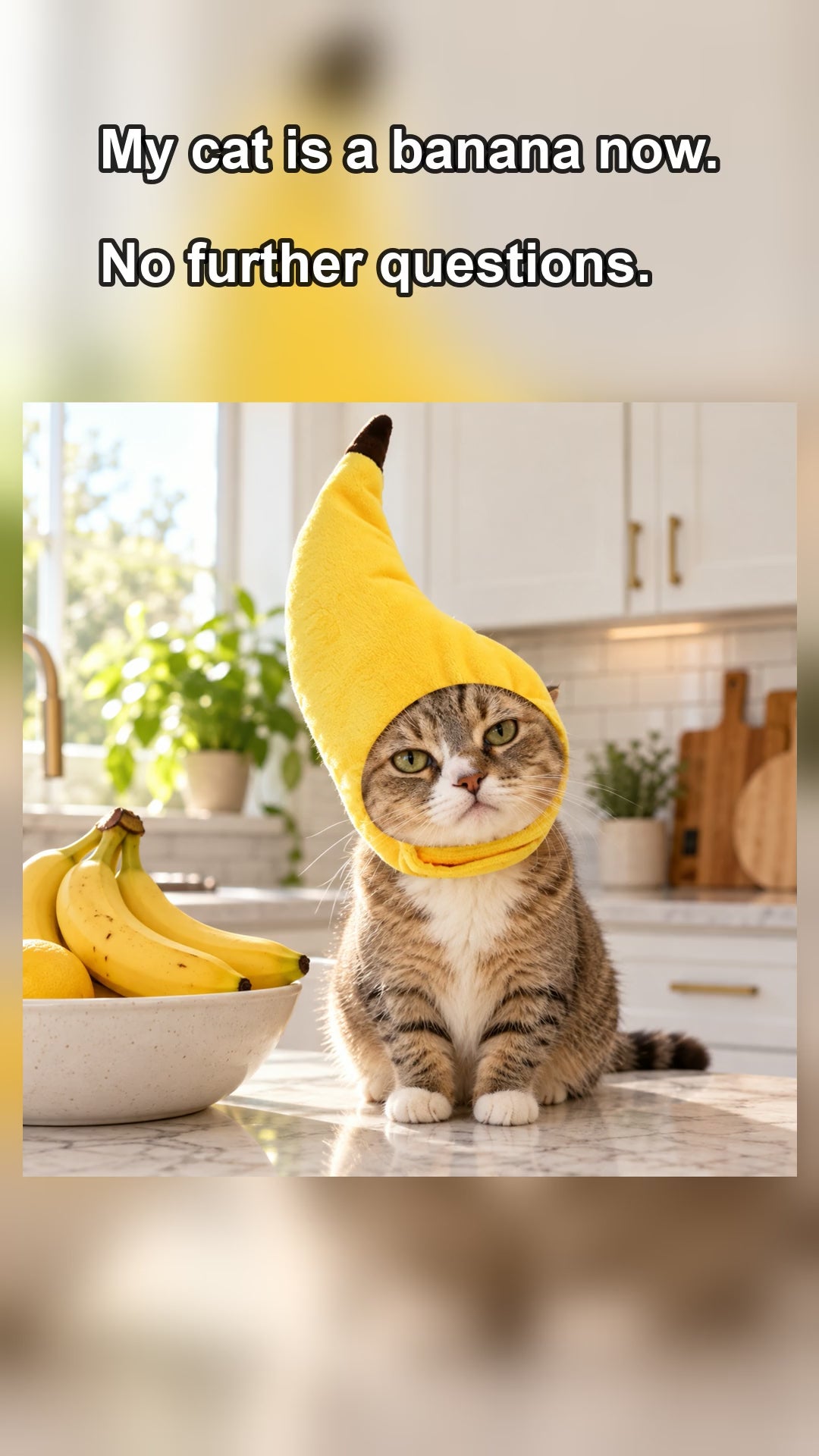 Banana Cat Hat soft adjustable cat costume, cat wearing the yellow banana hat on a couch