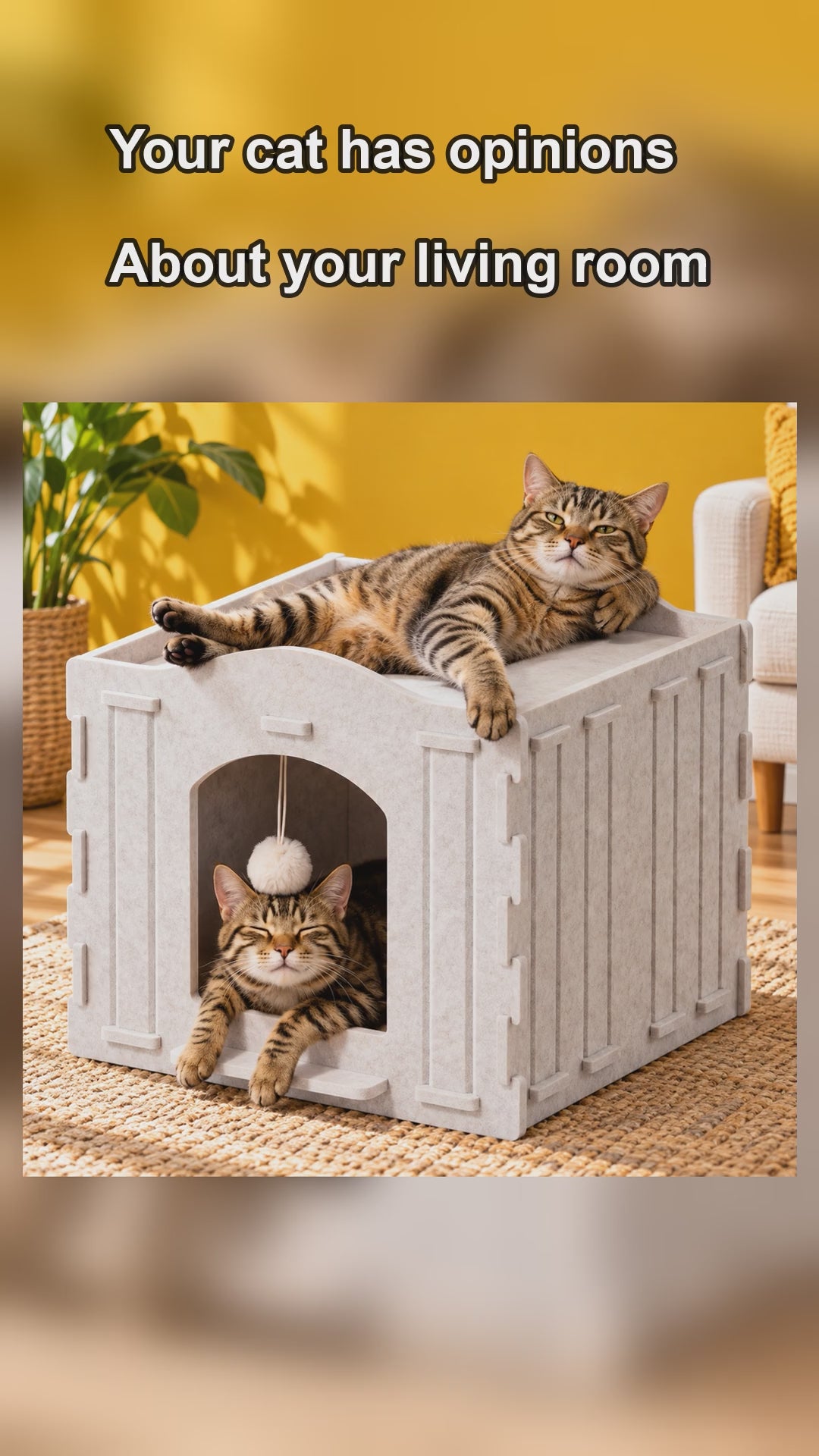Felt Cat Cave Bed with Fluffy Ball, short video of a cat in the cave