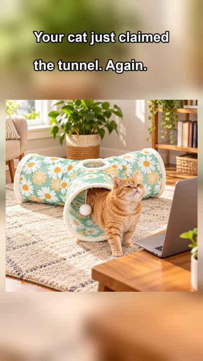 Cat tunnel video
